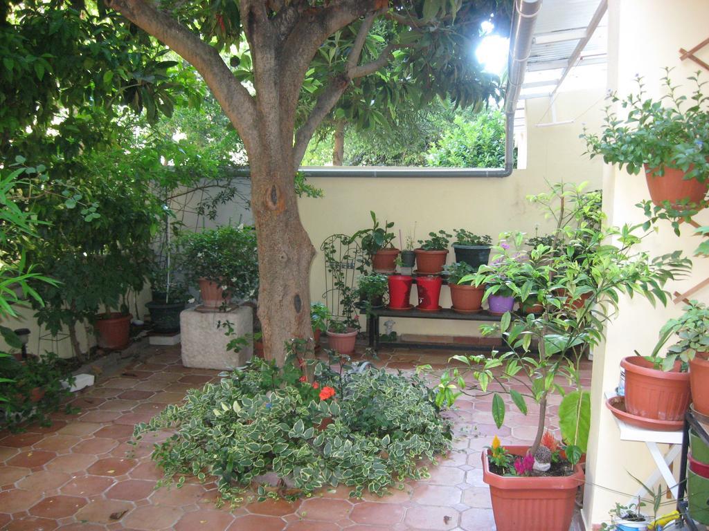 Studio Antonio Split Room photo